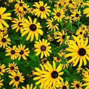 Meet your Posher, Anastaja